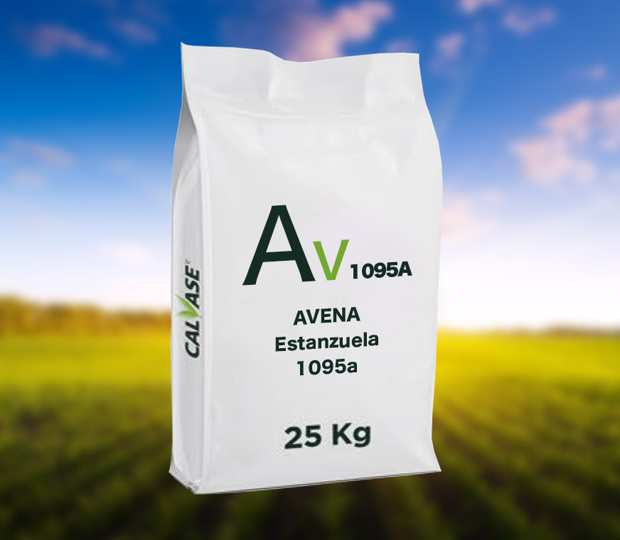 Avena-Estanzuela-1095a.jpg