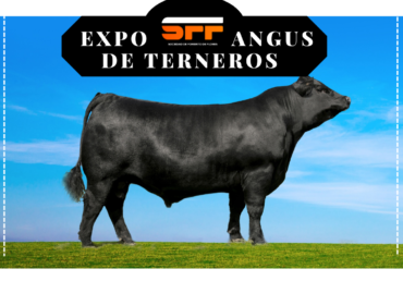 Remate Especial – Expo Angus