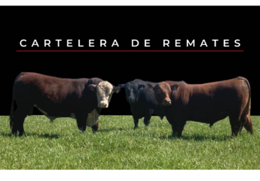 Cartelera Remates 2023