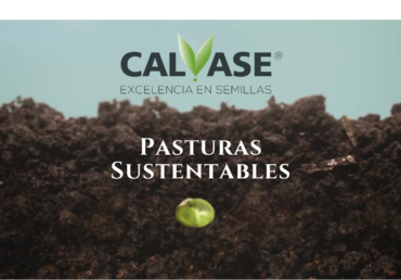 Pasturas Sustentables