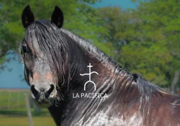 Remate La Pacífica